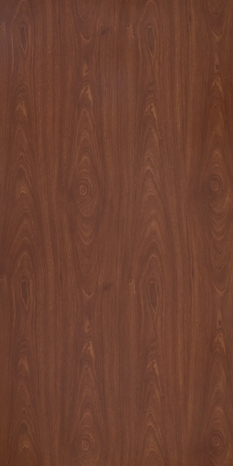 Vân Melamine BT 38 H