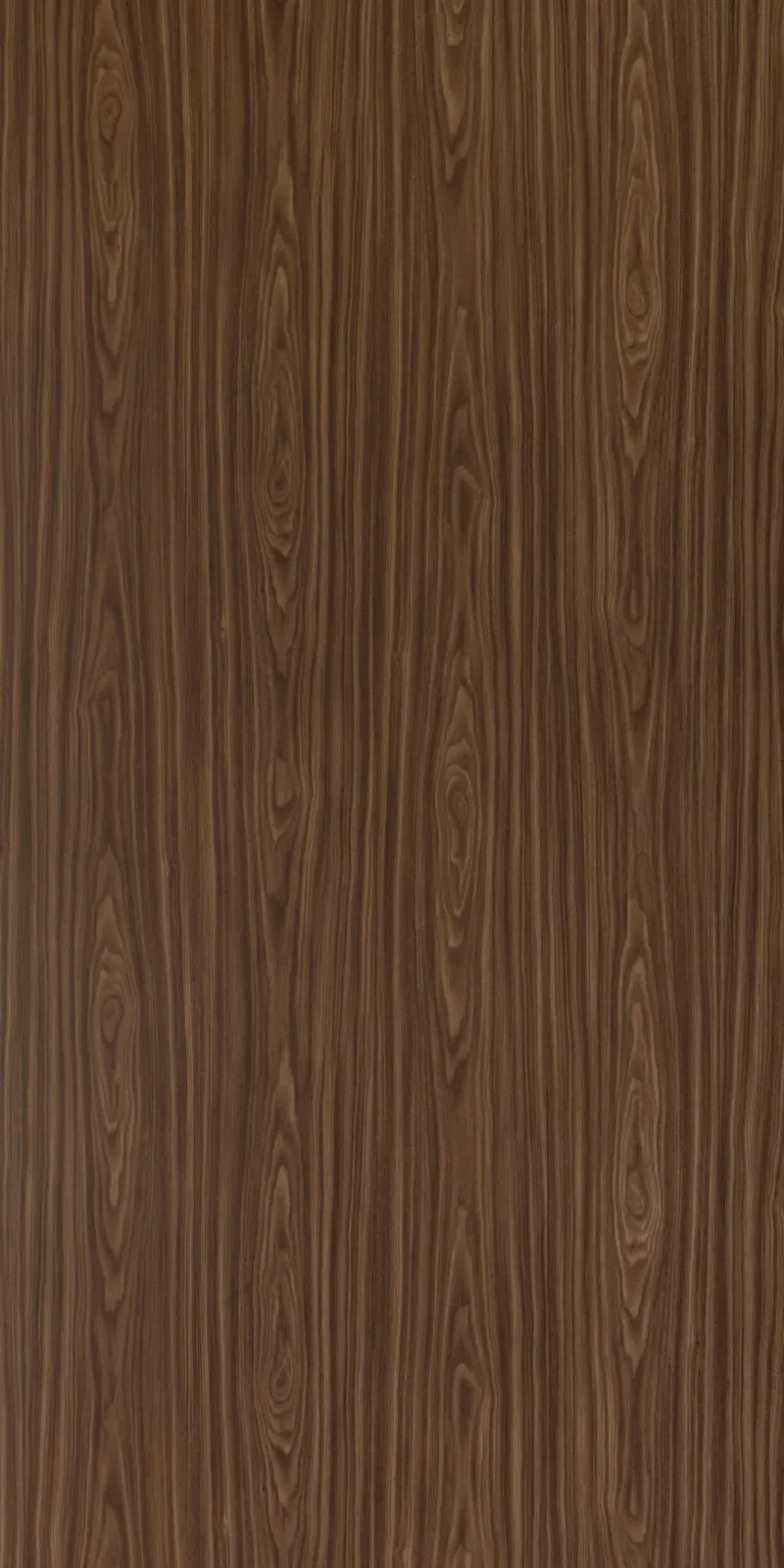 Vân Melamine BT 99 EV