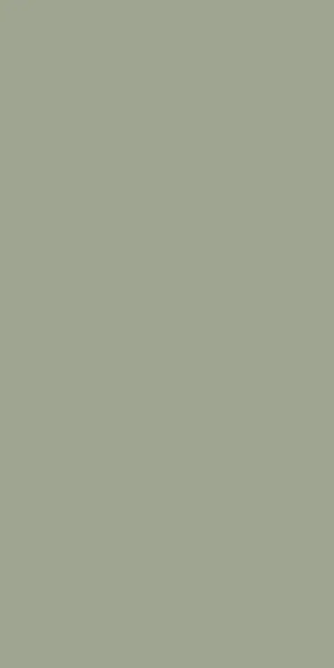 Vân Melamine BT SC019 M