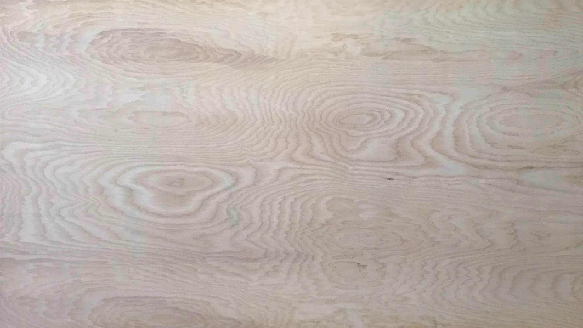 Chọn ván ép (plywood) đúng: nhìn LOẠI KEO và cấp mặt