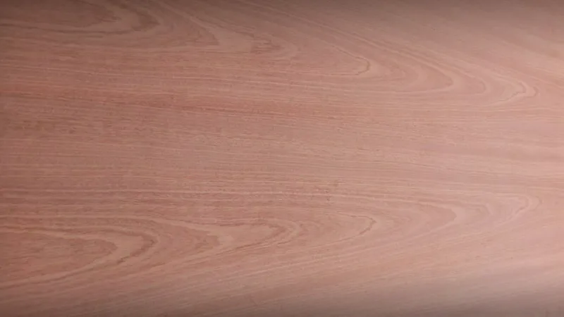 Ván phủ Veneer